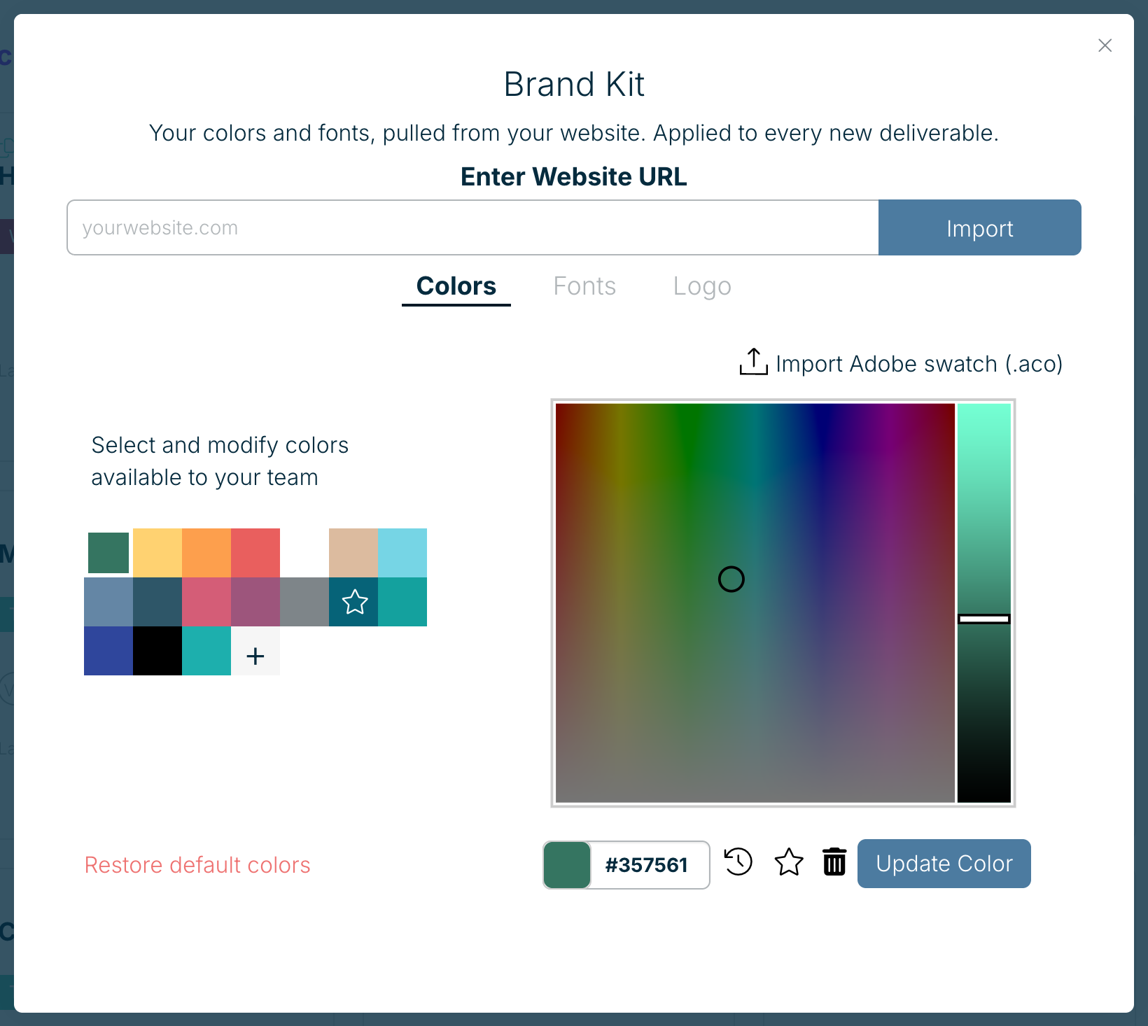 The Brand Kit Colors tab