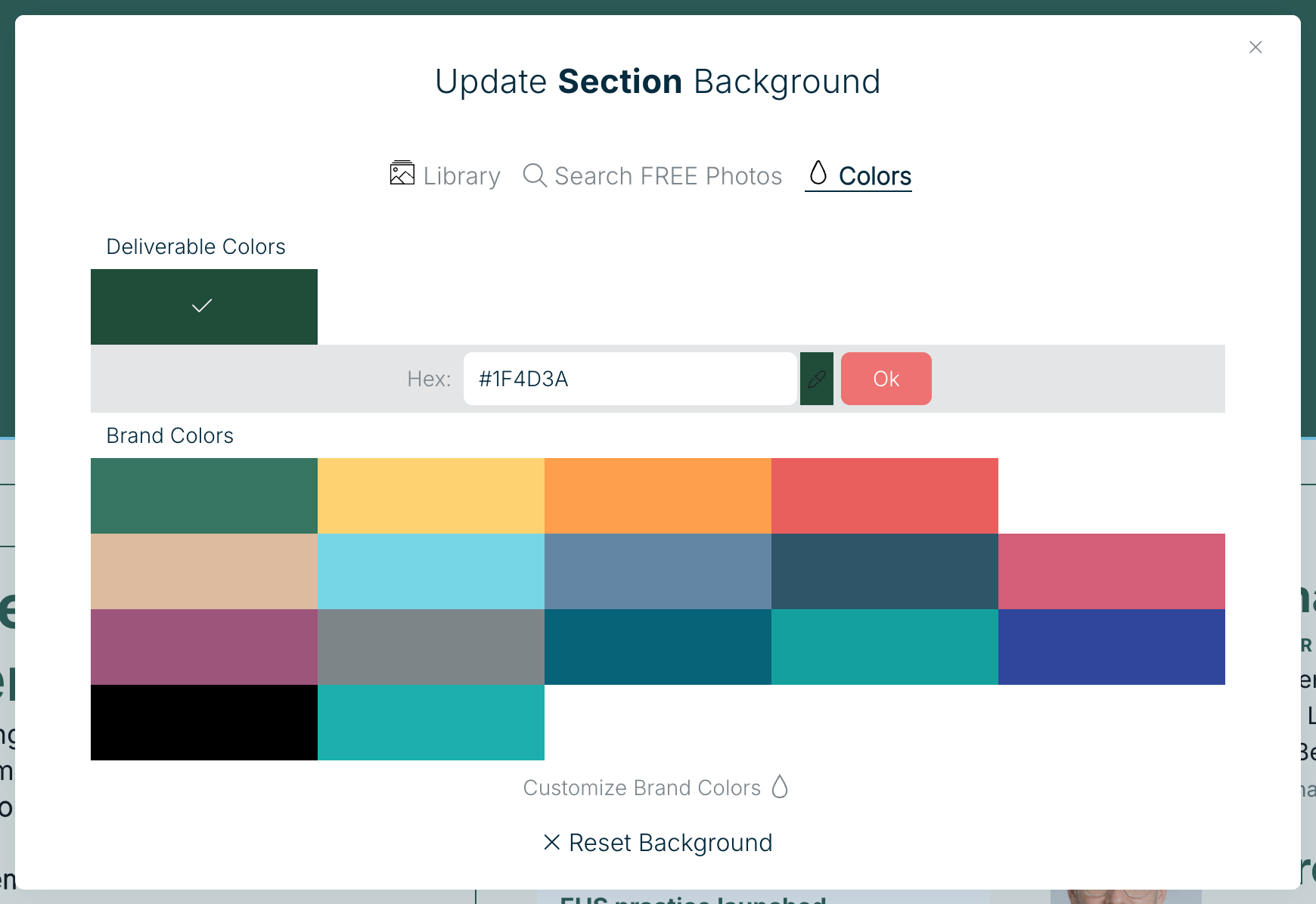 The Update Section Background panel