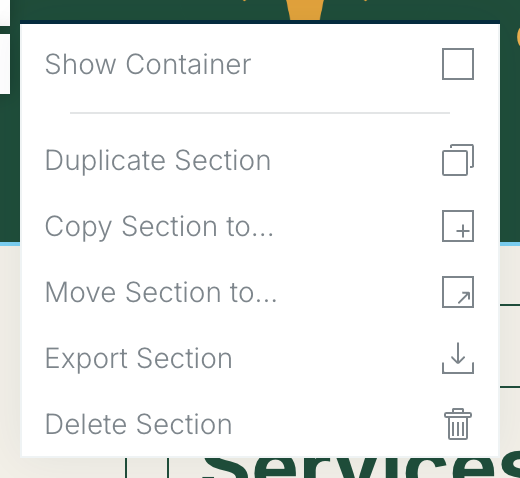 The section menu with Show Container