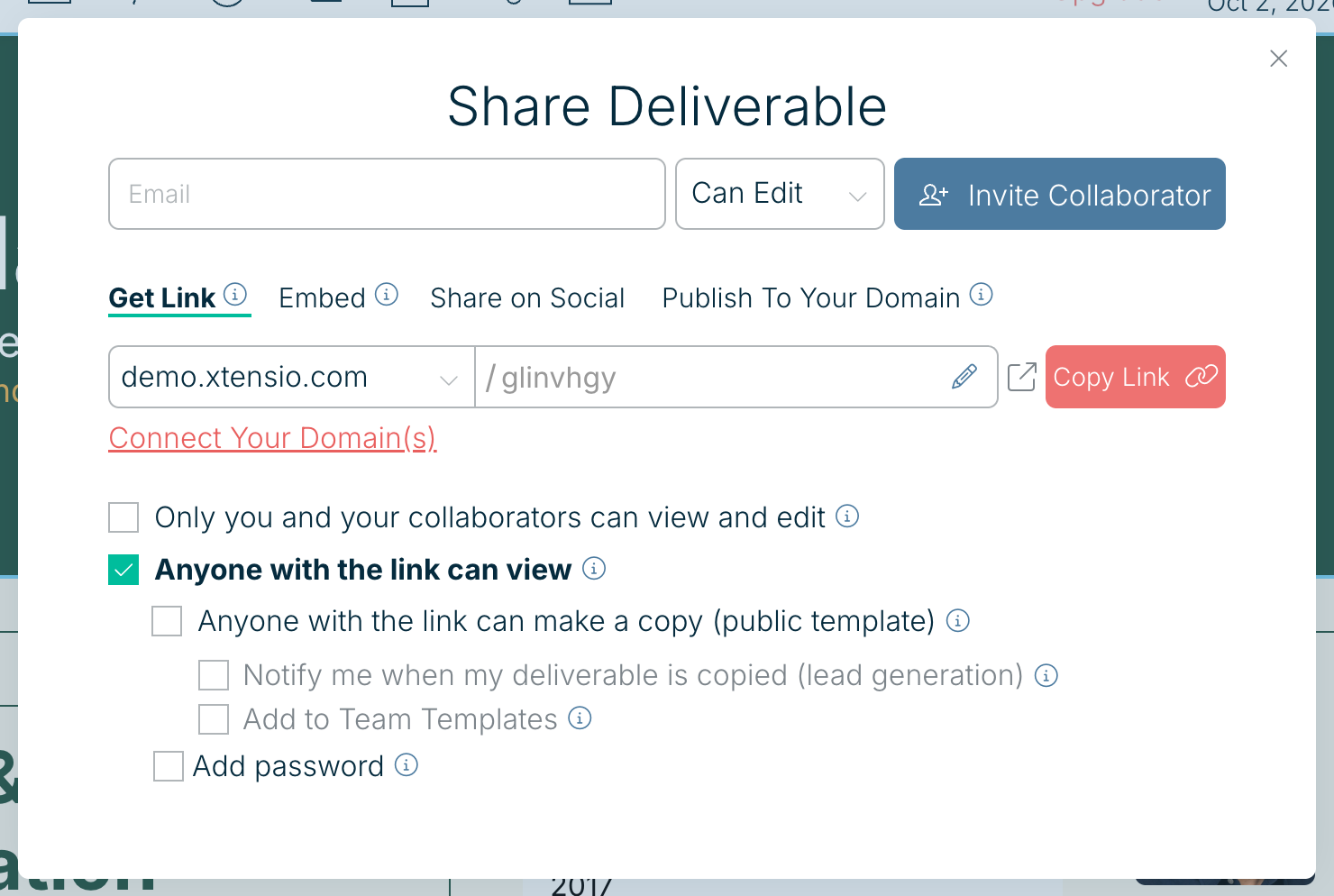 The Share Deliverable panel, with Add password at the bottom