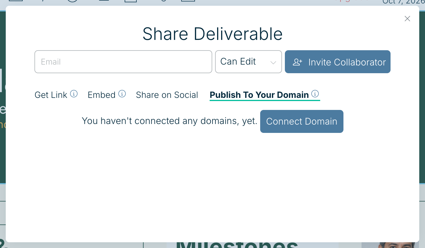 The Publish To Your Domain tab