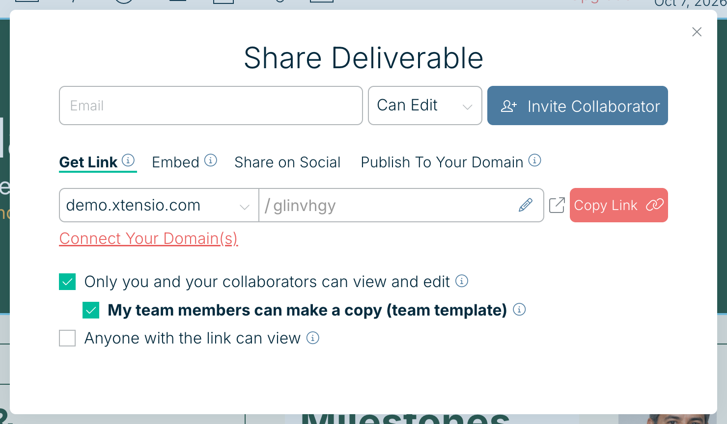 The Share Deliverable panel with My team members can make a copy (team template)